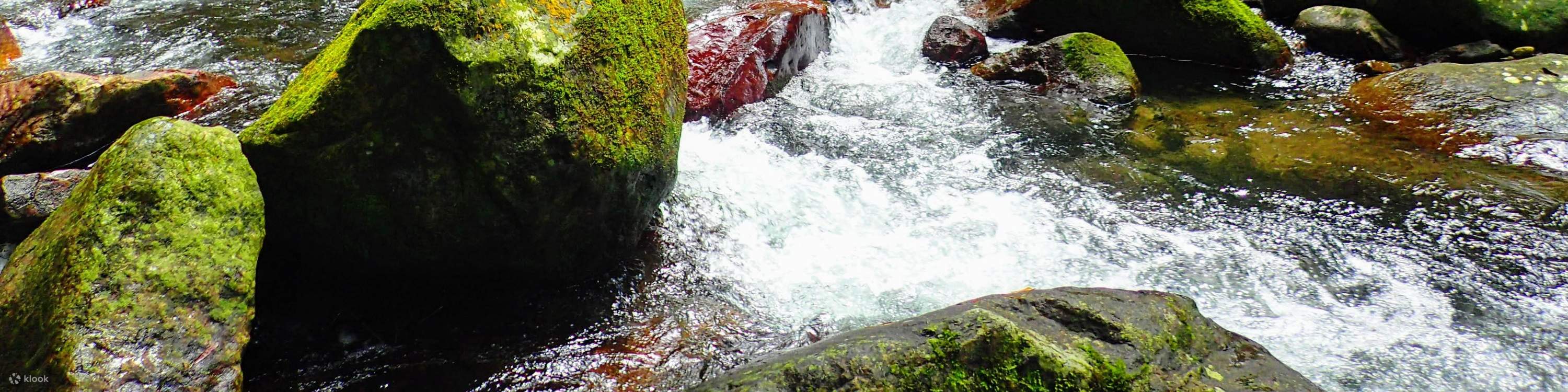 กิจกรรมเดินป่าลุยน้ำ